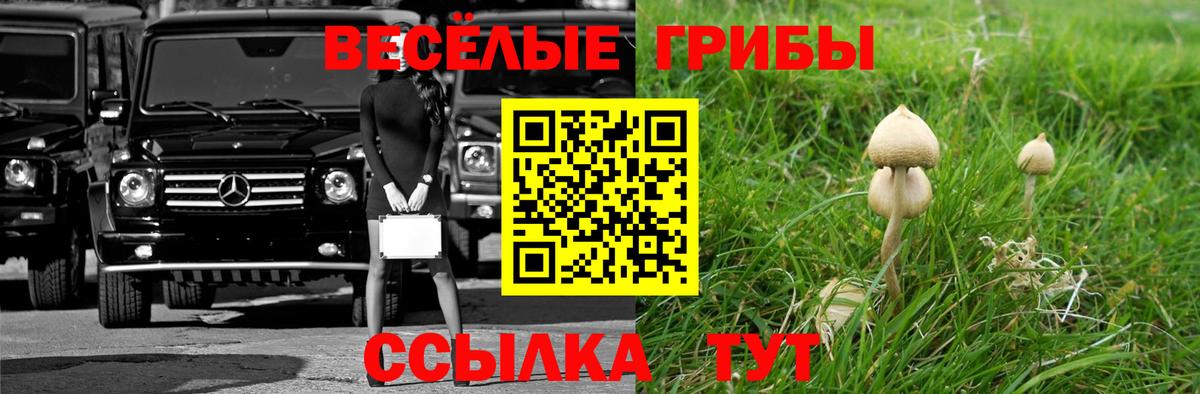 Галлюциногенные грибы Magic Shrooms  Галлюциногенные грибы ЛСД  Вход с VPN  Городец 