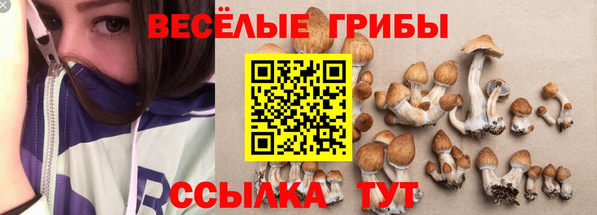 Псилоцибиновые грибы GOLDEN TEACHER Городец